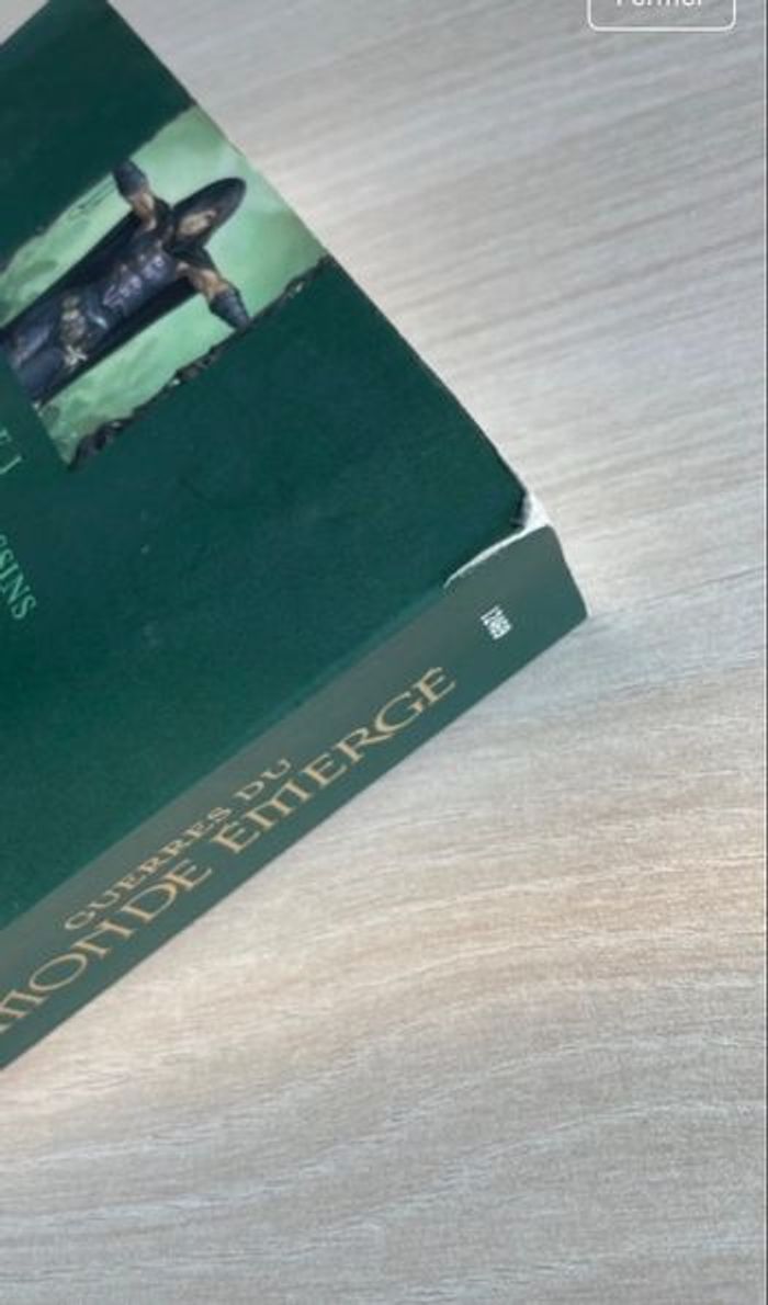 Livre Guerre du monde émergé - photo numéro 5