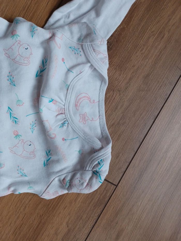 Lot bodies - photo numéro 3