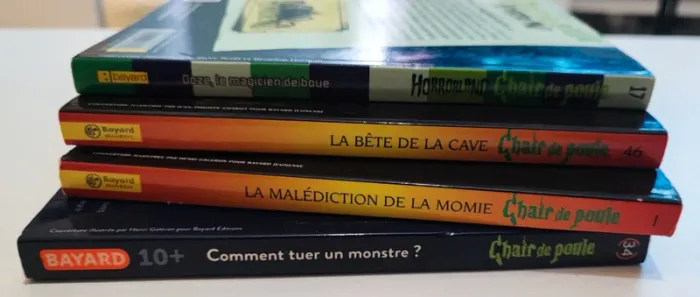 Lot 4 livres chair de poule - photo numéro 6