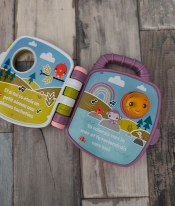 Livre Interactif du Singe Violet 