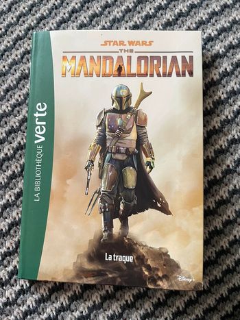 Star Wars the Mandalorian