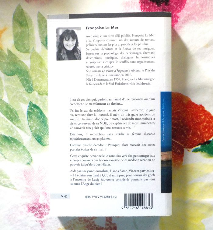 L'ANGE DE GROIX de Françoise LE MER Ed. Palémon - photo numéro 3