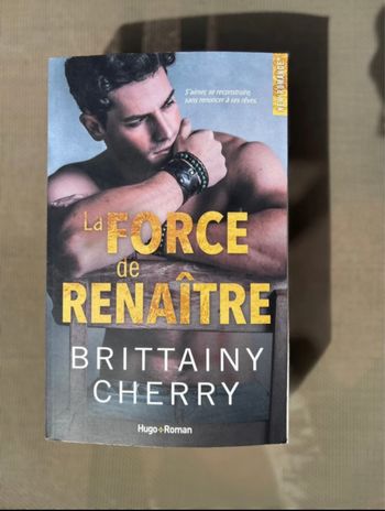 Livres romance adulte