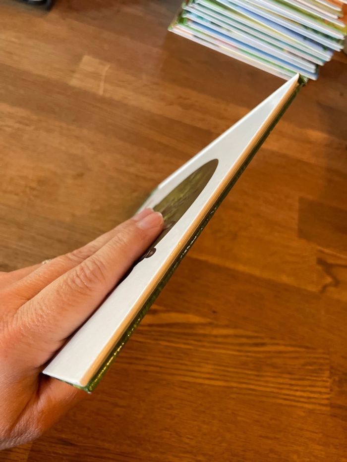 Livre Altaya Le monde des animaux Sauvages Animaux de la forêt La Tarentule - photo numéro 6