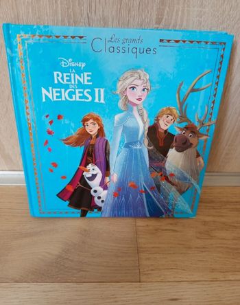 Livre reine des neiges 2