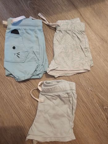 Lot shorts 