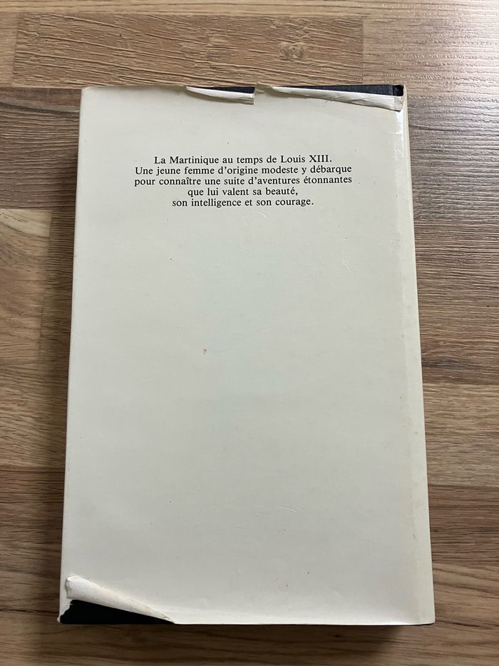 Livre relié-Robert Gaillard-Marie des Isles-Tome 1 - photo numéro 3
