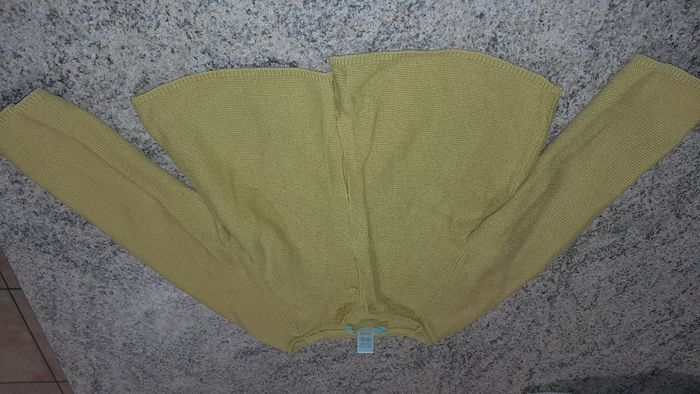 Lot de 5 gilets - photo numéro 3