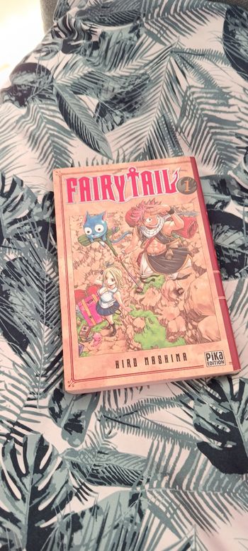 🔥 Fairy Tail Tome 1 – Hiro Mashima – À petit prix ! 🔥