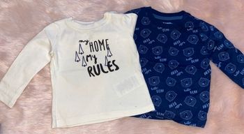 Lot de 2 tshirts Lupilu