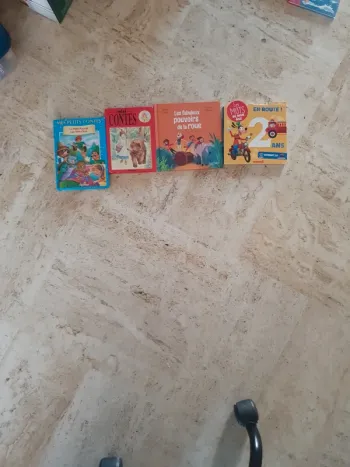 Lot de 4 livres pour enfants