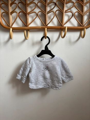Pull gris mon petit chat Kiabi 1 mois