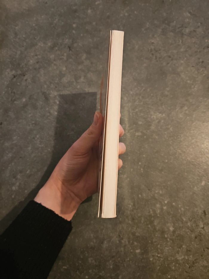 Livre le management de projet - photo numéro 3