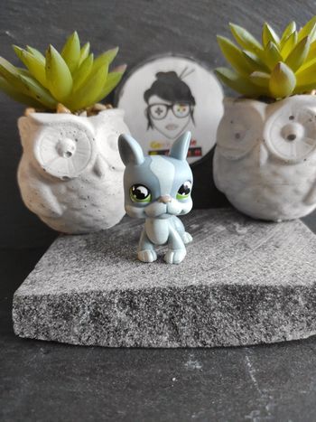 Littlest Petshop Pet Shop LPS dog chien boston terrier 857 #geektradelpschien