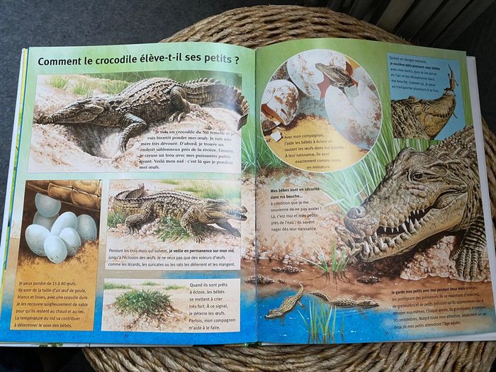 Mes questions aux animaux - photo numéro 4