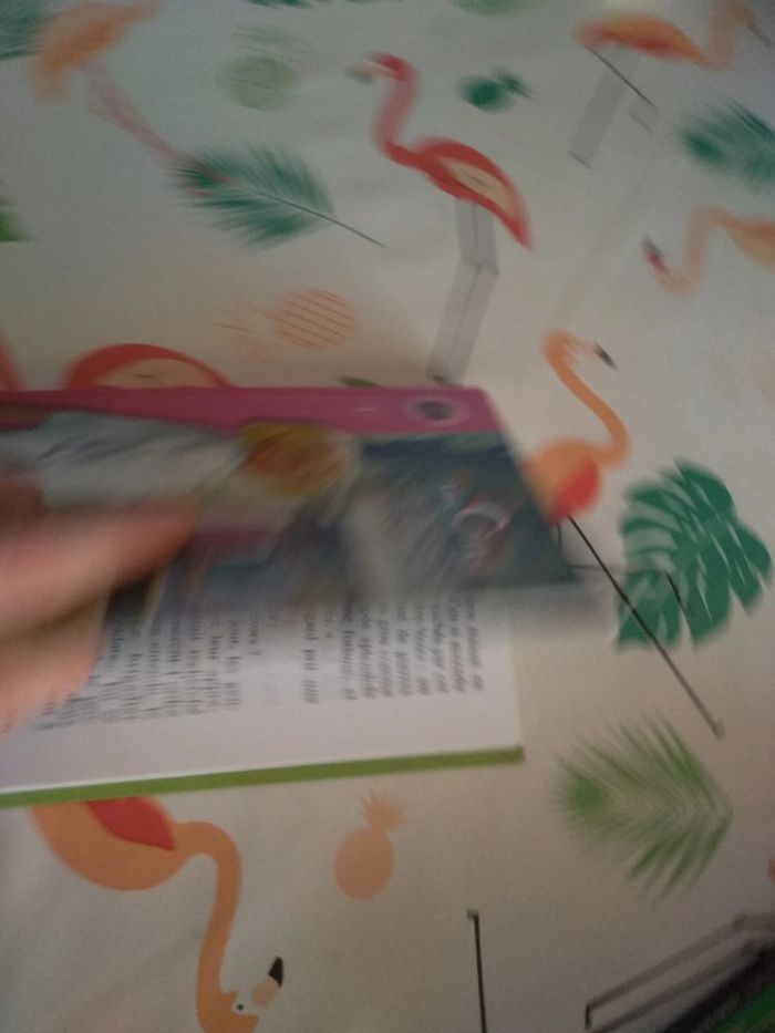 Livre Le Club des Cinq - photo numéro 8