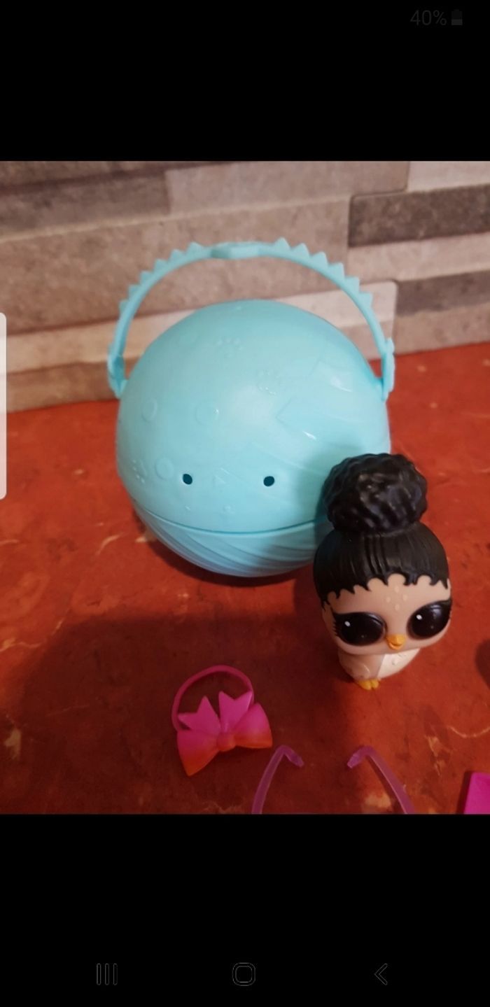 Pets animals Floxy Flyer - photo numéro 4