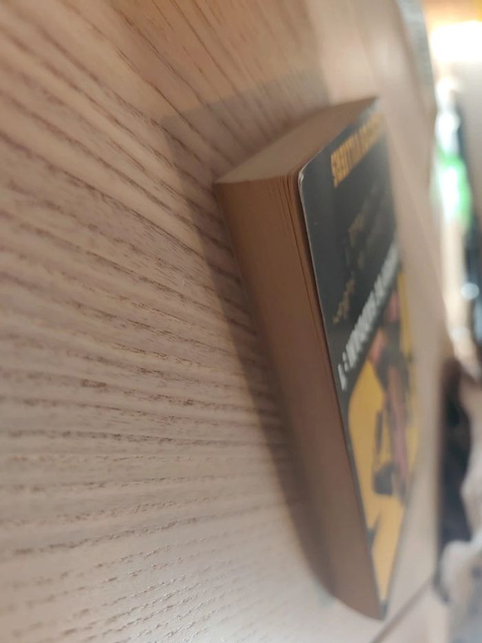 SAS le trésor de Saddam 1 Gérard de Villiers 9782842677909 - photo numéro 3