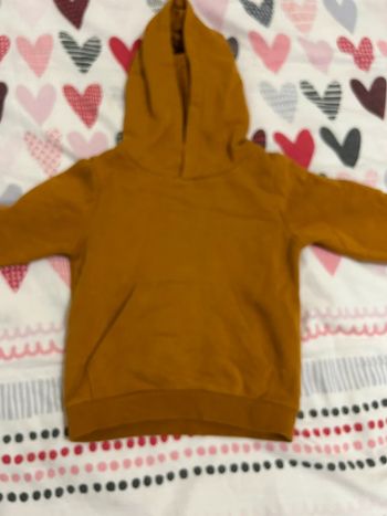 Sweat à capuche