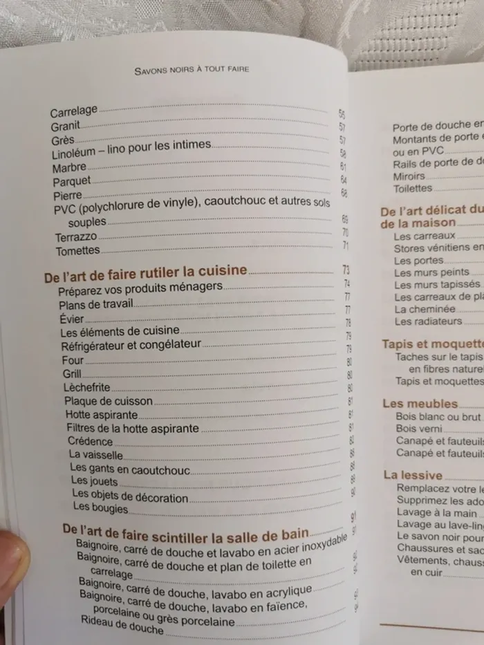 Livre. Salon Noir à tout faire – 1200 astuces naturelles - photo numéro 3