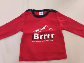 T shirt petit bateau taille 18 mois