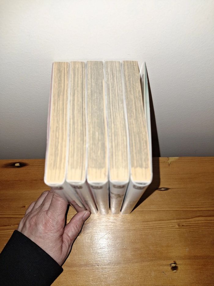 Manga Ga-Rei 5 tomes - photo numéro 3