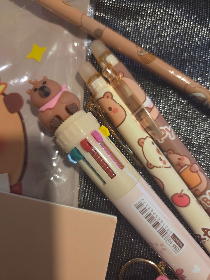 Pochette Capybara - photo numéro 3