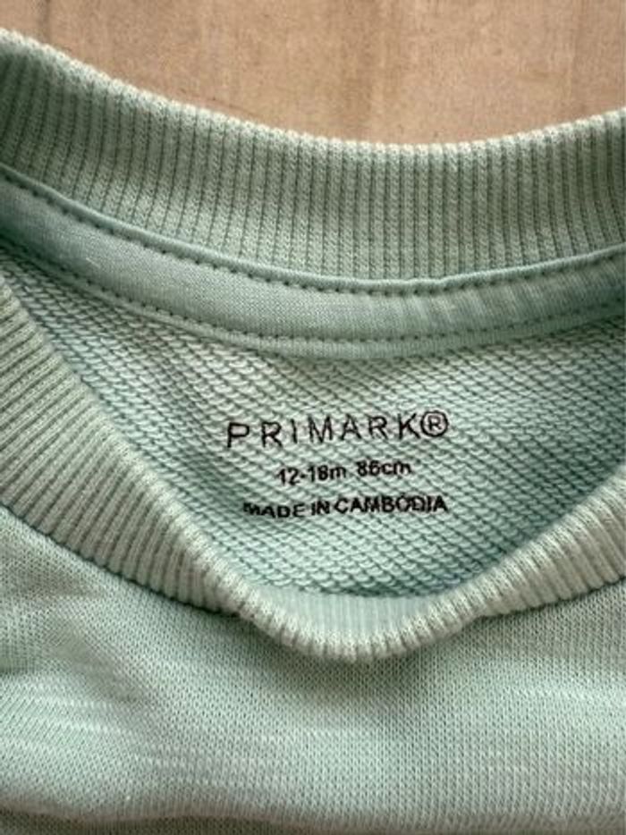 Sweat Primark 12-18 mois menthe - photo numéro 2