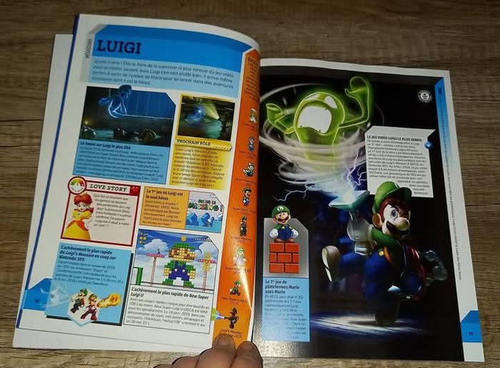 Guinness World records gamer's édition 2020 - photo numéro 4