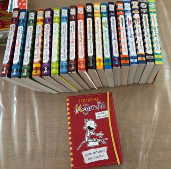 Lot de 18 tomes le journal d’un dégonflé et le carnet top secret