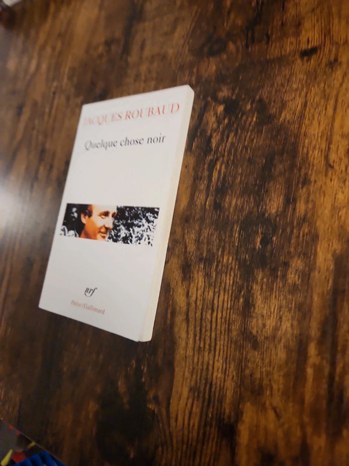 Livre : Quelques chose noir - photo numéro 3