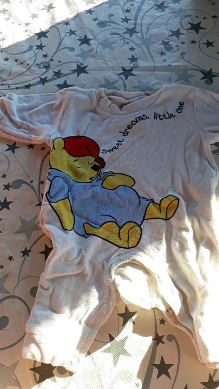 Grenouillere - photo numéro 2