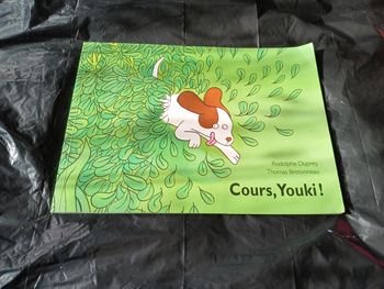 Livre cours Youki!