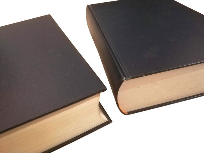 Dictionnaire unilingue espagnol en deux volumes - photo numéro 4