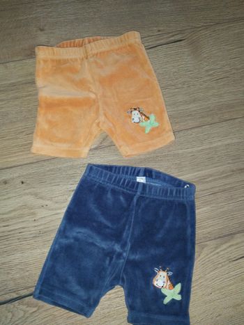 Short éponge
