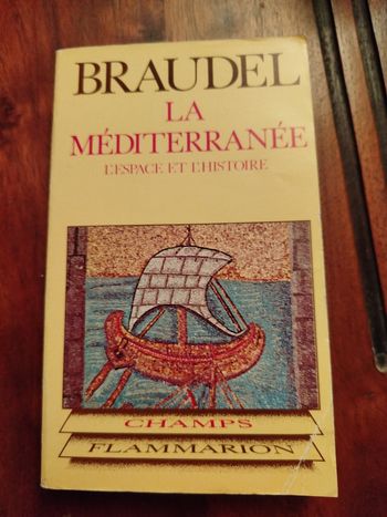 La méditerranée l espace et l histoire