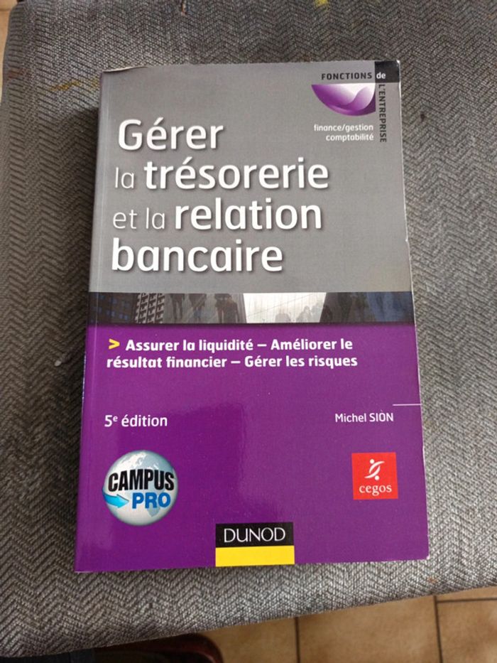 Gérer la trésorerie et la relation bancaire