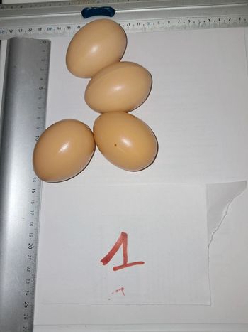 Lot 4 œufs dînette cuisine primeur marchande épicier