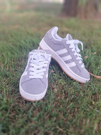 Campus Adidas 00s