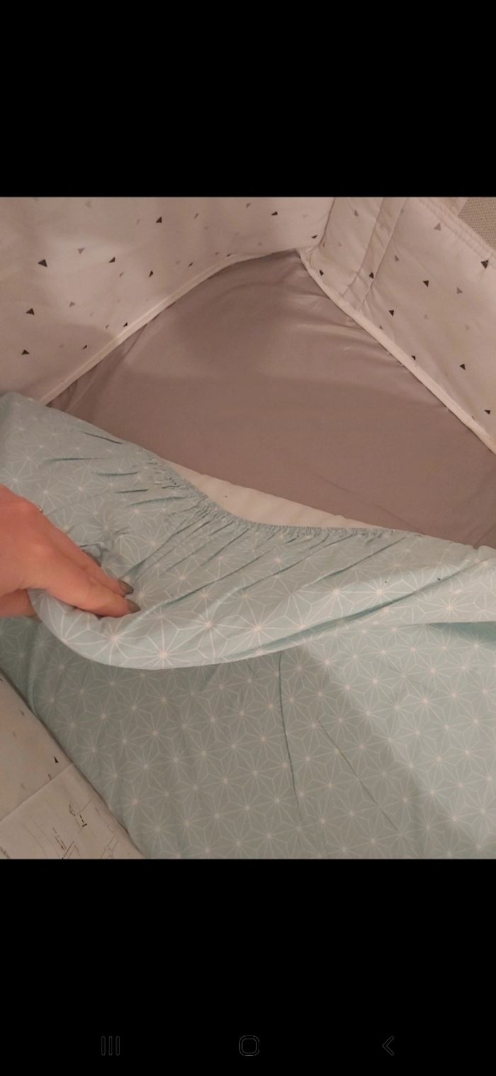 Cododo - photo numéro 5