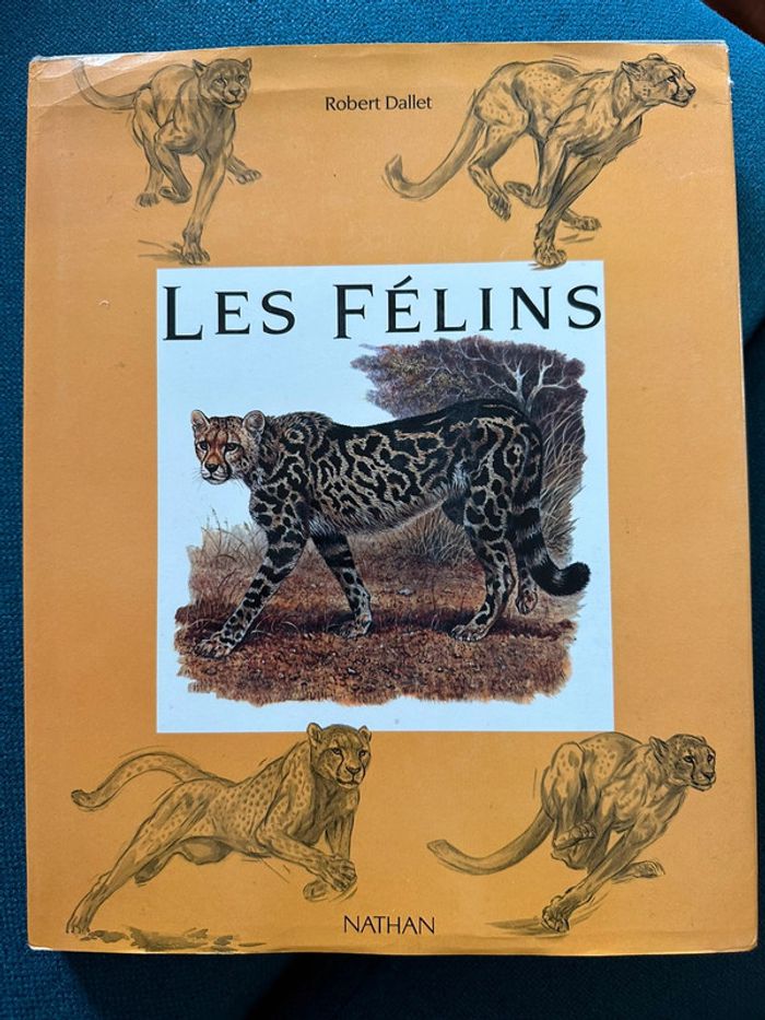 Livre Les Félins Robert Dallet Nathan rares illustrations tigre lion panthère léopard album