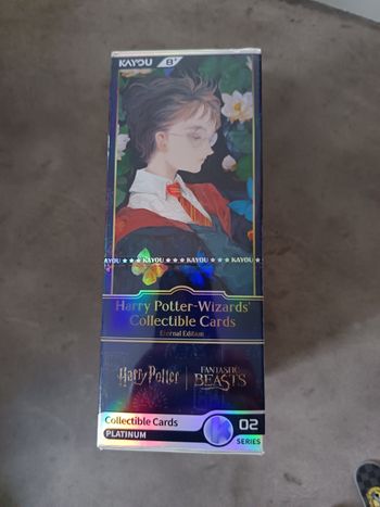 Display Kayou Harry Potter série 2