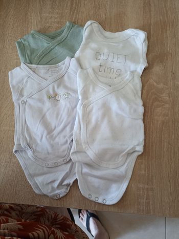 Lot body