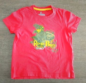 T-shirt 2 ans garçon