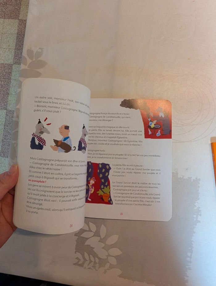 Lot Père castor - photo numéro 11