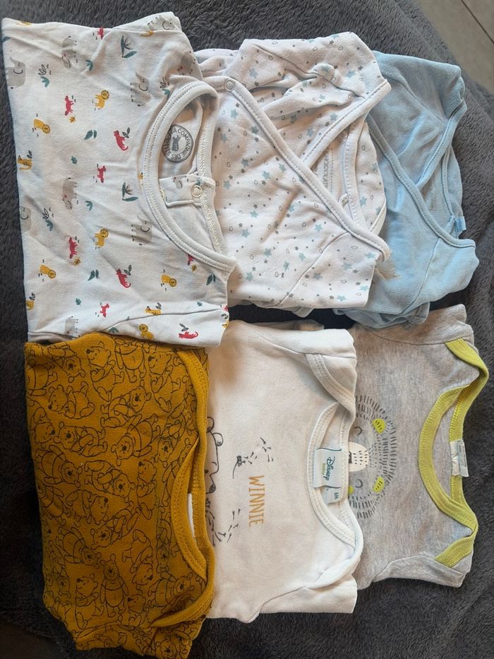 Lot body