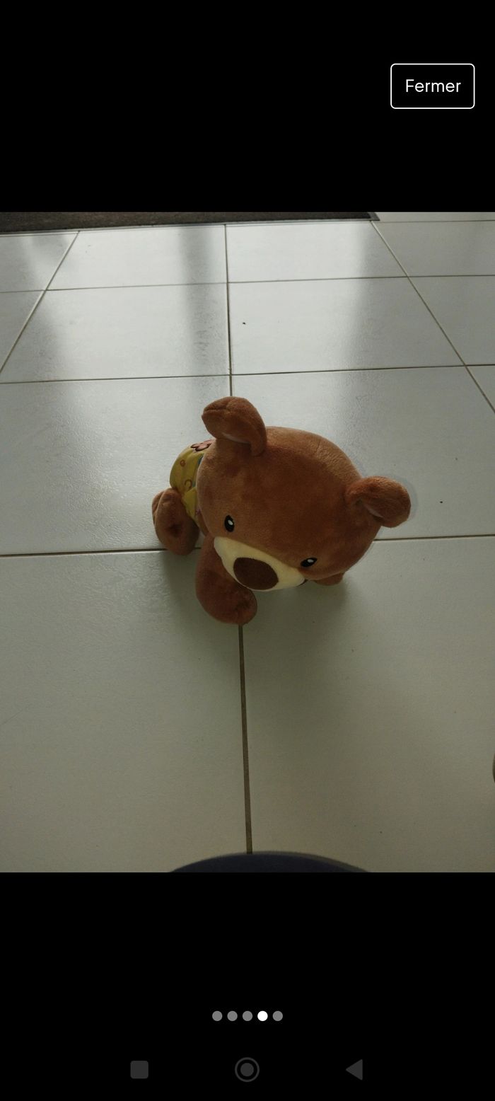 Ourson aide a la marche - photo numéro 2