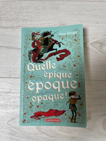 Livre Quelle épique époque opaque ! Casterman