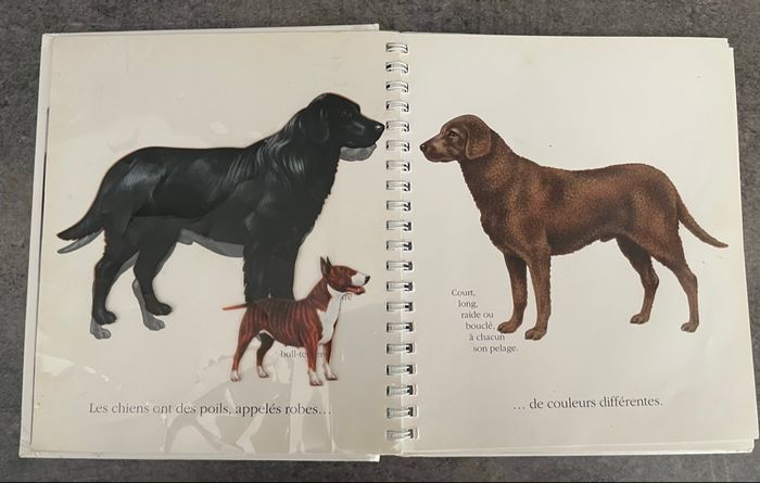 Livre le chien - photo numéro 5