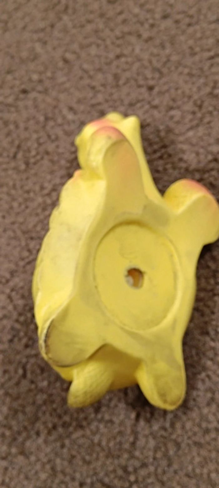 Tortue delacoste - photo numéro 6